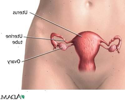 Lavere magesmerter hos kvinner. hva som forårsaker lavere abdominal eller bekkenløsning? Lavere magesmerter hos kvinner. hva som forårsaker lavere abdominal eller bekkenløsning?