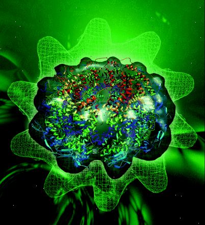 Syncytialt virus (RS-virus). hva er symptomene? Syncytialt virus (RS-virus). hva er symptomene?
