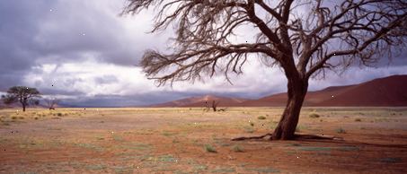 Reise medisin - afrika Reise medisin - afrika