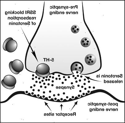 Selektive serotonin reopptakshemmere. det som er forskjellen mellom SSRI antidepressiva og andre? Selektive serotonin reopptakshemmere. det som er forskjellen mellom SSRI antidepressiva og andre?