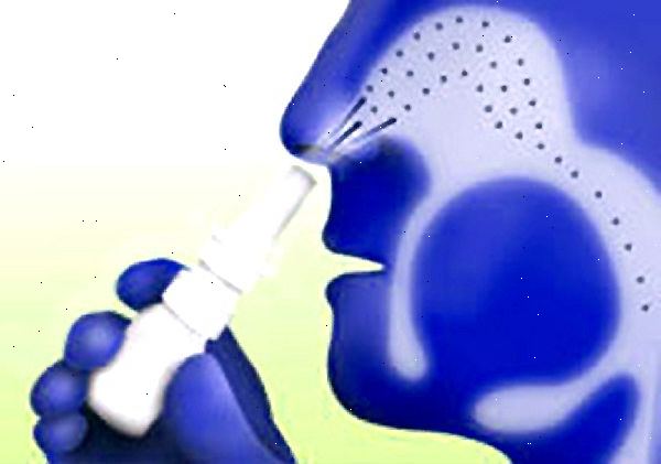 Hvordan bruke nesespray. hva er nesespray? Hvordan bruke nesespray. hva er nesespray?