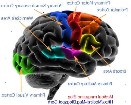 Huntingtons sykdom. antisosial atferd, irritabilitet, psykose. Huntingtons sykdom. antisosial atferd, irritabilitet, psykose.