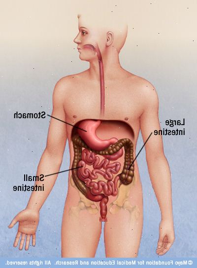 Gastroenteritt. hva er gastroenteritt? Gastroenteritt. hva er gastroenteritt?