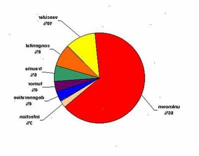 Epilepsi - hva er årsakene? hva som forårsaker epilepsi? Epilepsi - hva er årsakene? hva som forårsaker epilepsi?