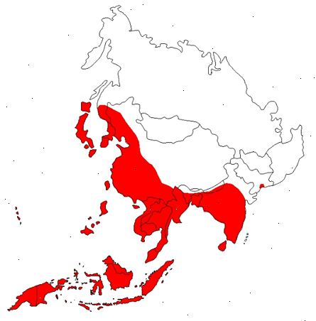 Japansk encefalitt og annen form for viral encefalitt overføres av mygg. hva er japansk encefalitt? Japansk encefalitt og annen form for viral encefalitt overføres av mygg. hva er japansk encefalitt?