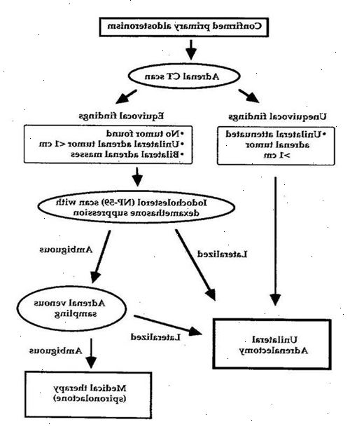 Conn syndrom. hva er conn syndrom? Conn syndrom. hva er conn syndrom?
